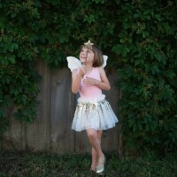 Gracious Gold Sequins Set with Wings and Wand